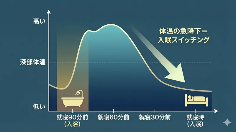 深部体温と入浴の関係